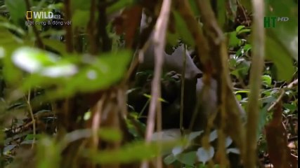 Travel Vietnam  GoPro Hero  Black  ACBD (41)