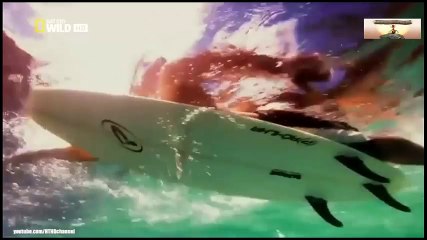 Logitech Webcam Comparison (26)