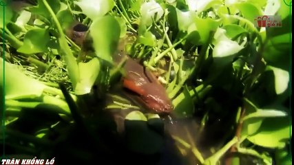 Travel Vietnam  GoPro Hero  Black  ACBD (53)