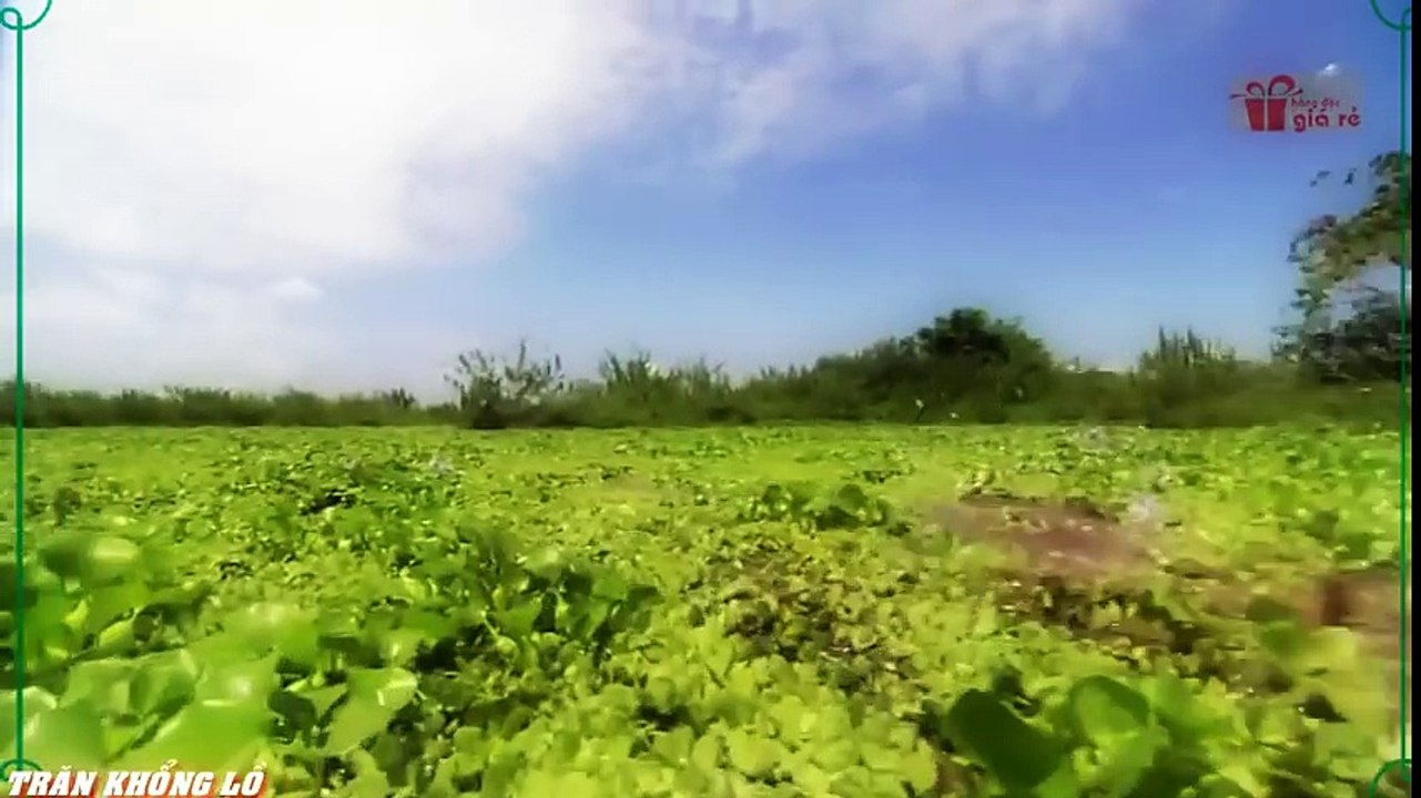 Travel Vietnam  GoPro Hero  Black  ACBD (57)