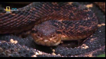 Logitech Webcam Comparison (33)