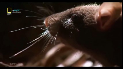 Logitech Webcam Comparison (34)