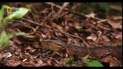 Logitech Webcam Comparison (35)