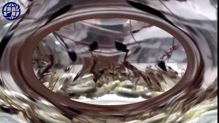 Logitech Webcam Comparison (42)