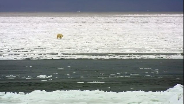 Learning Colors with Street Vehicles - Learn Colours Cars & Trucks, Hot Wheels, (11)