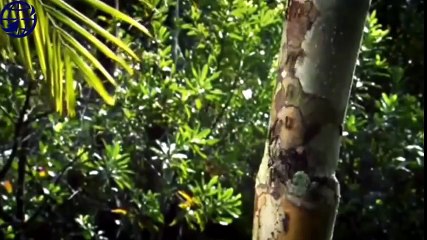 Logitech Webcam Comparison (52)