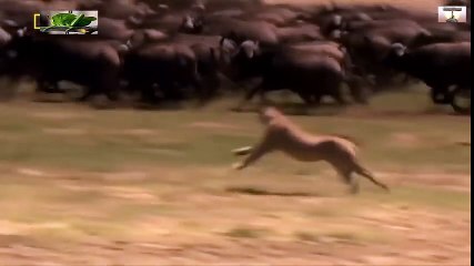 Travel Vietnam  GoPro Hero  Black  ACBD (76)