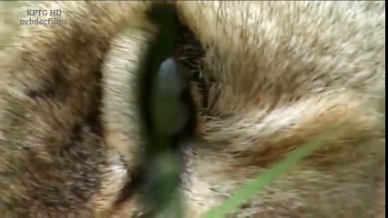 New Best Club Dance Music Mashups Remixes Mix 2016 News (37)