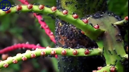 Logitech Webcam Comparison (55)