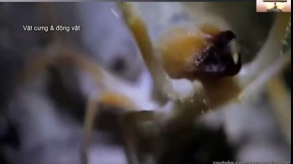 Logitech Webcam Comparison (58)