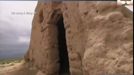 Logitech Webcam Comparison (64)