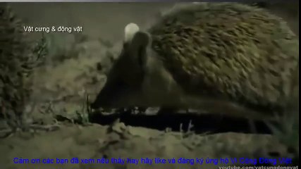 Logitech Webcam Comparison (74)