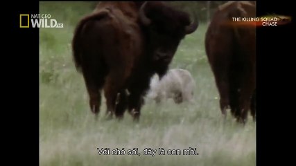 TSN - Top 10 'Video Game Moves' In Sports (5)