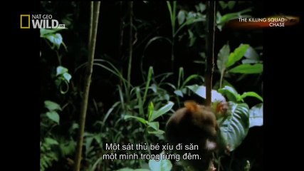 TSN - Top 10 'Video Game Moves' In Sports (10)