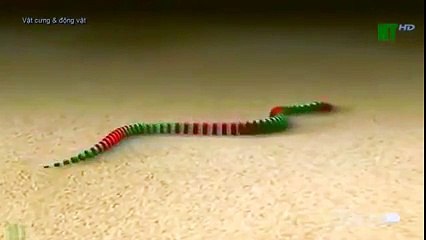 TSN - Top 10 'Video Game Moves' In Sports (20)