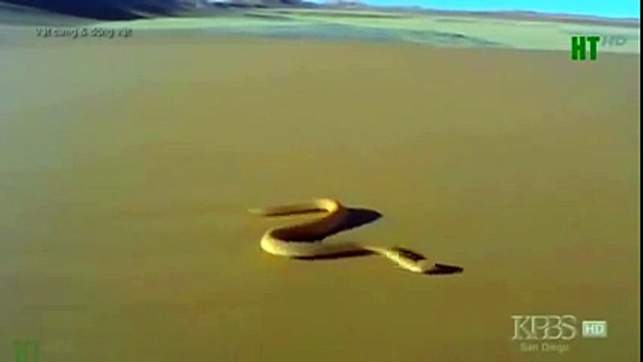 TSN - Top 10 'Video Game Moves' In Sports (21)