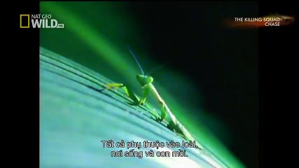 TSN - Top 10 'Video Game Moves' In Sports (44)