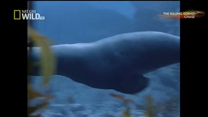 TSN - Top 10 'Video Game Moves' In Sports (46)