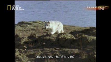 TSN - Top 10 'Video Game Moves' In Sports (49)