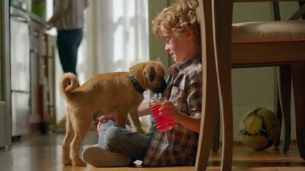 How life looks like with a child and a dog at home