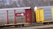 Colton Railfanning 17: NS Autorack Train Through Park