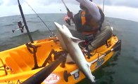 Fisherman Catches A Shark and Lets It Loose In His Kayak