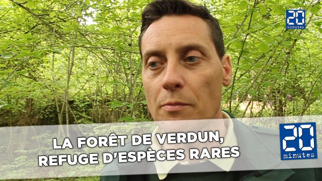 La forêt de Verdun, refuge d'espèces rares