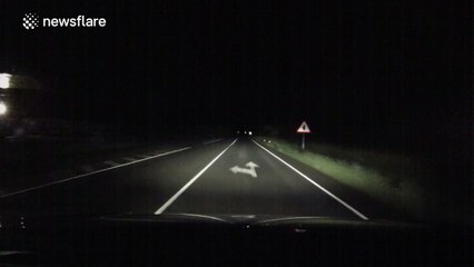 Driver nearly hits a wild boar on Spanish country road