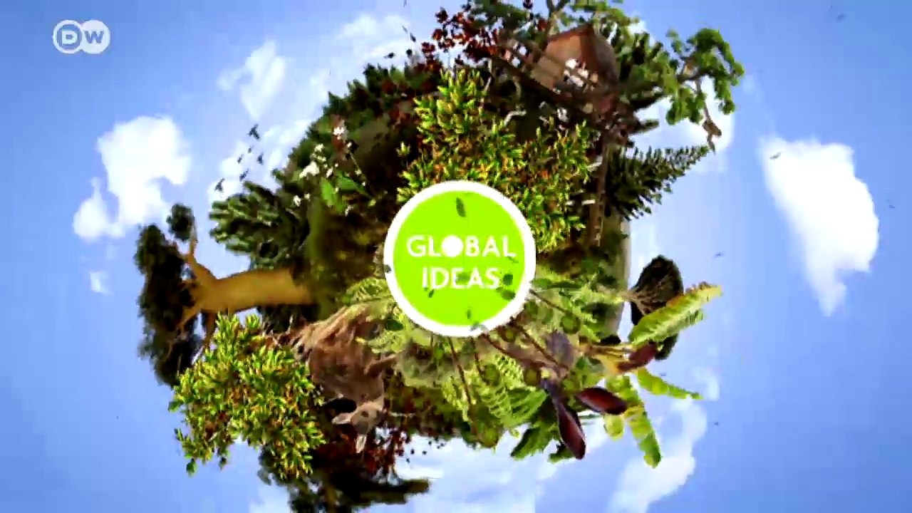 Berberaffen in gefahr | global ideas