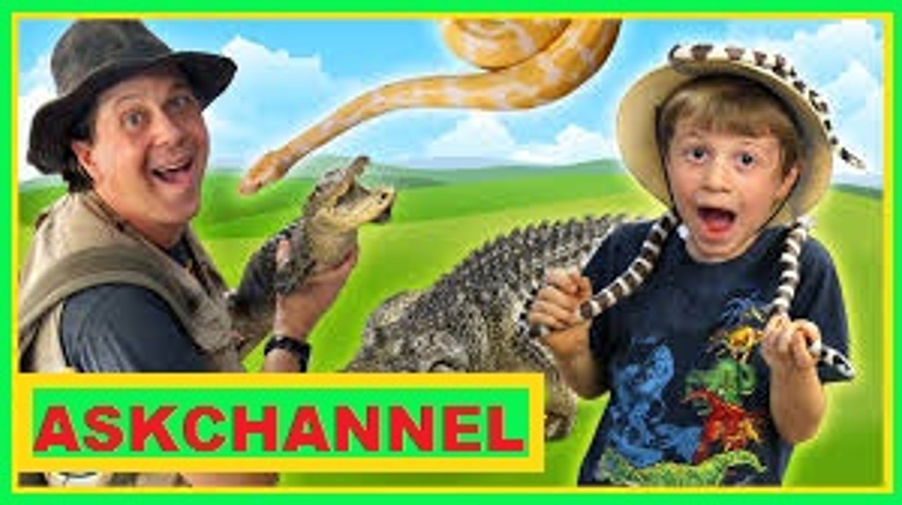 Awesome Gators & Amazing Reptiles at Wildlife Park, Kids Family Fun Playground & Surprise Toys Hunt 2016