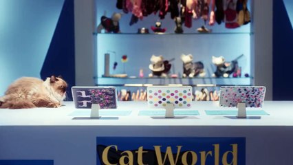 "..Asus ZenPad - GVP.."