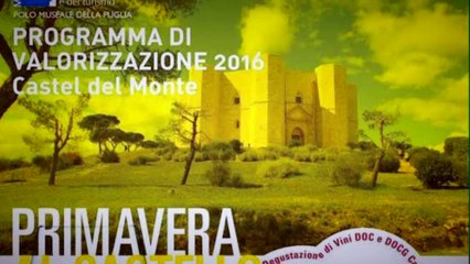 Degustazione dei vini nostrani all'interno di Castel del Monte, un'atmosfera unica