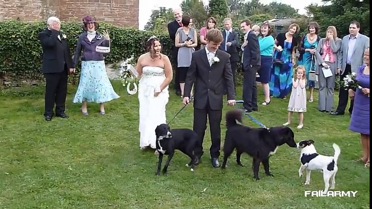 Wedding Fails Compilation 2012 -- FailArmy