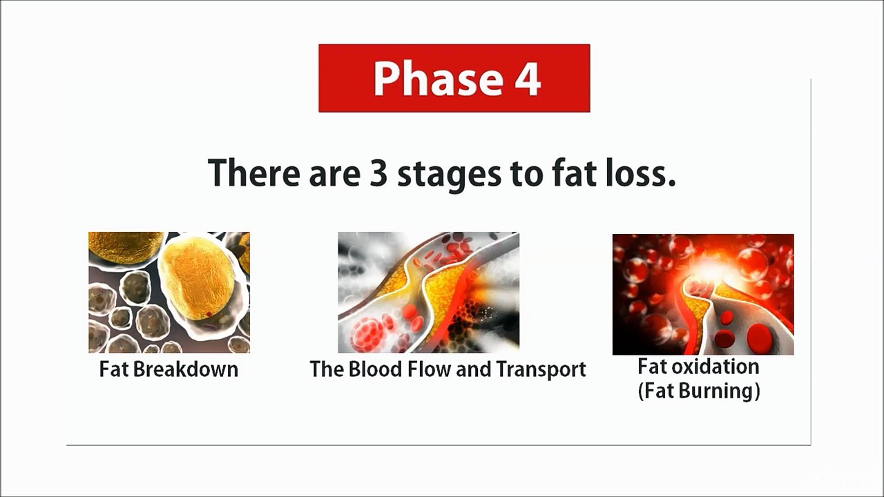 021 How Is Fat Burned Off