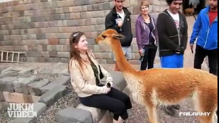 Fail Compilation of the Month September 2012 -- FailArmy