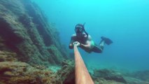 Superbe plongée dans les eaux des îles Catalina au Caraïbes