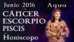 Horóscopo CANCER, ESCORPIO Y PISCIS Junio 2016 Signos de Agua por Jimena La Torre
