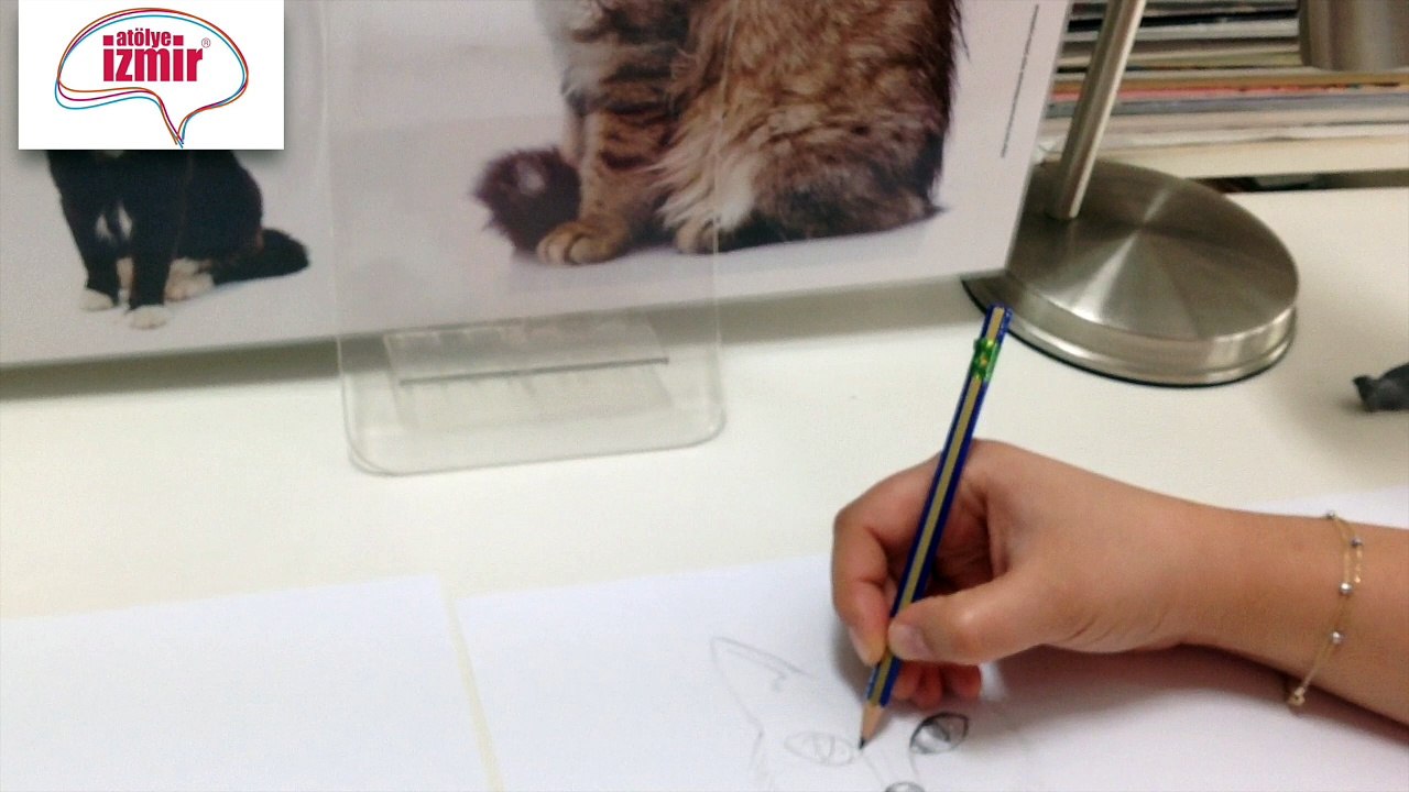 Kedi ve Kadın Karakter Çizimi