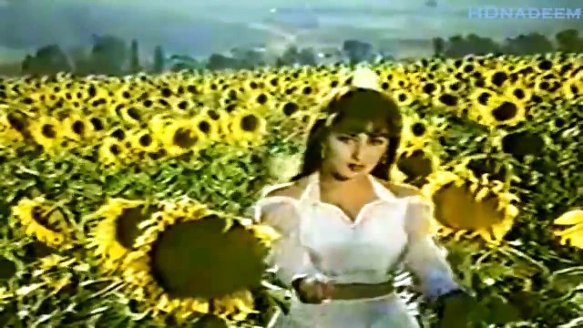 MISS ISTANBUL (1996) - Dil Mein Basa Le | Aankhon Mein Chhupa Le - (Reema Khan, Babar Ali)- (720p HD)