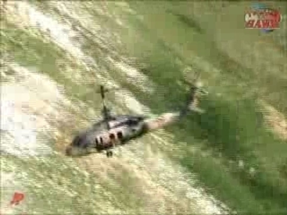 Twister_hawk