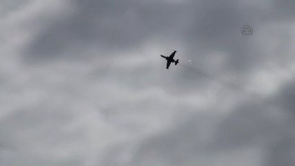 Gürcistan'daki Ortak Askeri Tatbikat