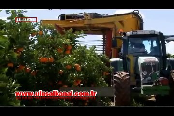 Mayıs’ta etkili olan sağanak ve dolu ziraatı olumsuz etkiledi