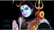 B͜͡e͜͡S͜͡t͜͡ MOLVi ji 【+91-9928979713】 vashikaran spEcialist ASTROLOGER BABA Ji iN russia