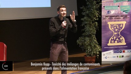 Benjamin Kopp, PhD Student at Toulouse III University