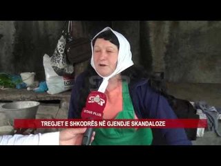 TREGJET E SHKODRËS NË GJENDJE SKANDALOZE