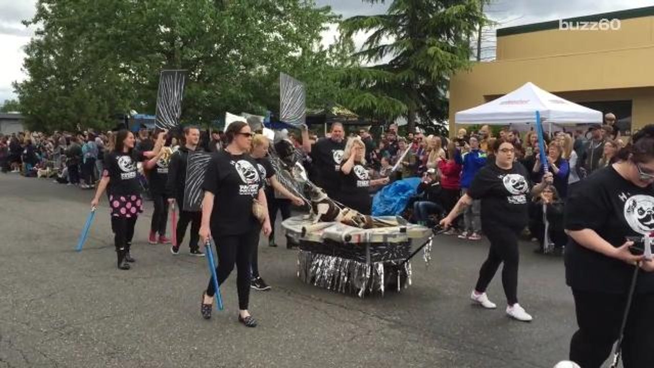 Dogs Dressed as Star Wars Characters will Distract you for Hours