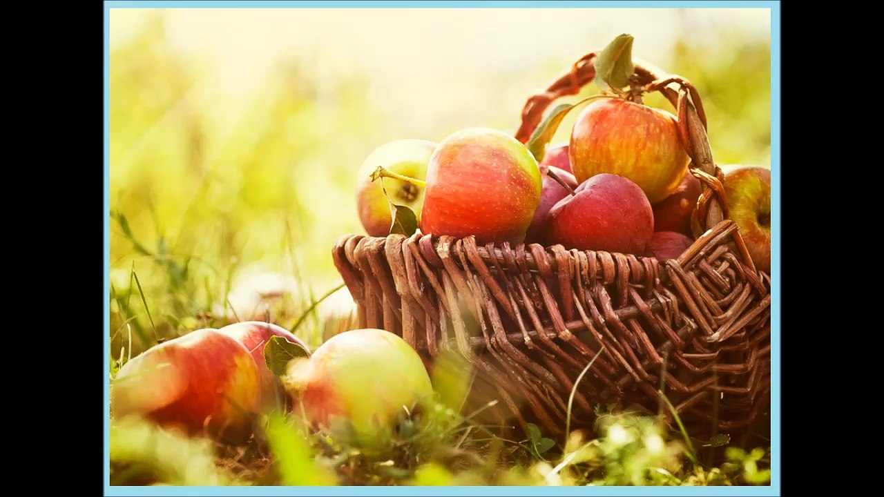 Best Fat Burning Foods