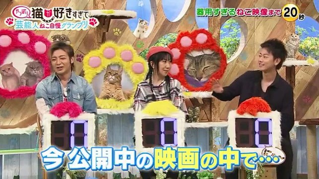 Smap Smap 動画 芸能人ねこ自慢gp 16 5 23 Video Dailymotion