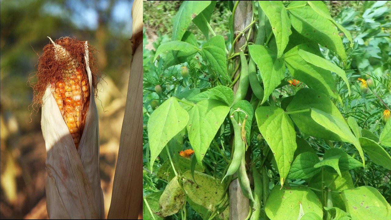 Tonto National Monument-HD