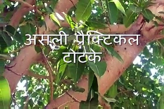 बुढ़ापे में भी घोडा बना देगी ये खुराक Budhape mein Bhi Ghoda Bana Degi Ye Khuraak